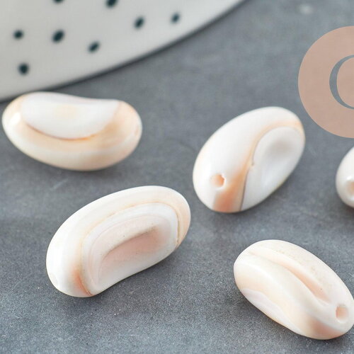 Perles coquillage naturel bisque beige 13-18mm, x10 (g0649)