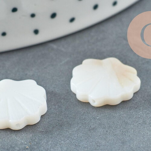Perles coquillage nacre blanche naturelle 15.5mm, x2 (g3424)