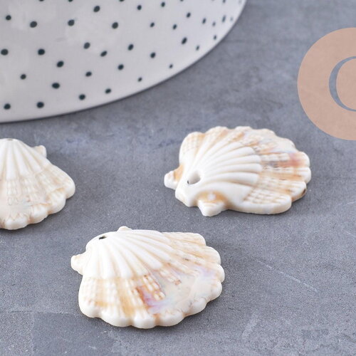 Pendentif porcelaine beige coquillage 30mm, perle céramique géométrique fabrication bijoux céramique blanche, x1 (g3310)