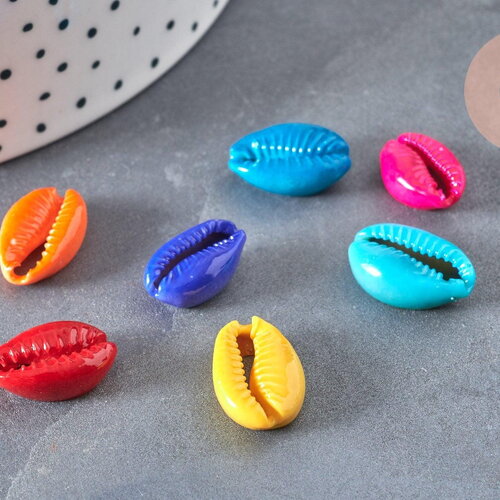 Pendentif coquillage cauri colore, coquillage naturel,cauri,coquillage bijou,15mm, x5 (g1531)