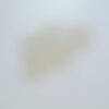 Breloque coquillage acier 304 inoxydable doré 14k 7.5mm, pendentif coquillage sans nickel, x10 g6014