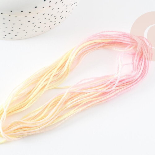 Fil à broder polyester dégradé jaune rose 0.5mm, fil original, pour bracelet brésilien, fil à broder ou scrapbooking, x8 mètres g9356