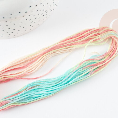 Fil à broder polyester dégradé rose turquoise 0.5mm, fil original, pour bracelet brésilien, fil à broder ou scrapbooking, x8 mètres g9357