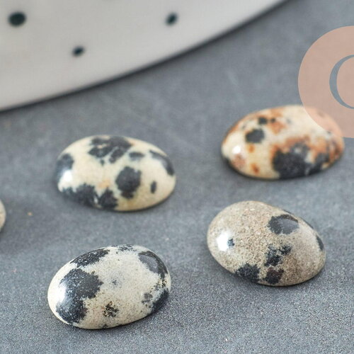 Cabochon ovale jaspe dalmatien naturel 10x8mm, x1 (g1590)