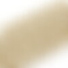 Chaine maille rollo acier 304 inoxydable doré ip 18k 6mm, x1 mètre (g2840)