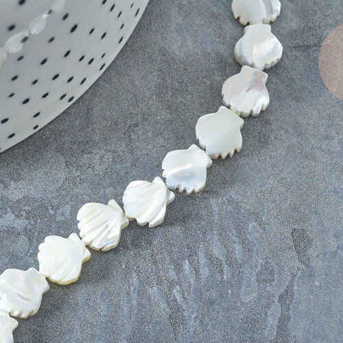 Perle saint-jacques nacre blanche naturelle 9,5~10mm, coquillage naturel, le fil de 42cm, x1 g7839