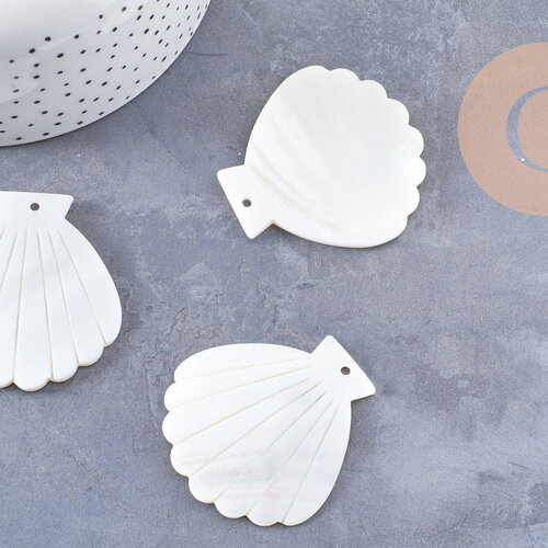 Pendentif coquillage nacre blanche naturelle 54mm, x2 (g10091)