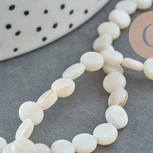 Perle disque nacre coquillage blanc naturel 6mm, x1 fil de 39cm (g5580)