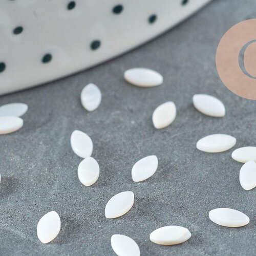 Cabochon ovale plat nacre blanche, cabochon coquillage, cabochon nacre coquillage nacre naturelle,5mm, x20 (0.4 gr) g6690