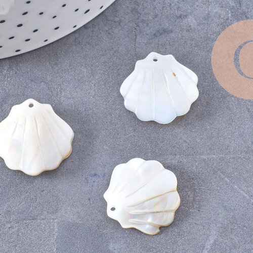 Pendentif coquillage nacre blanche naturelle irisée 21mm, x2 (g10224)