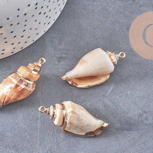 Pendentif coquillage naturel fer doré 26-52mm,x1 (g0133)