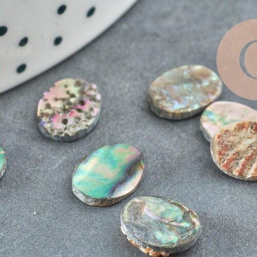 Cabochon ovale nacre noire ormeau naturel 10x8mm, x1 (g8687)