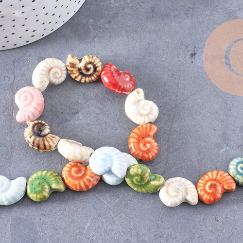 Perles coquillage escargot porcelaine multicolore 20.5mm, x1 fil de 35cm (g10325)