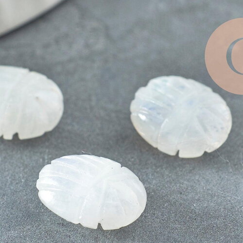 Perle scarabée pierre de lune naturel aaa 13mm, perle création bijou talisman pierre naturelle x1 g9232