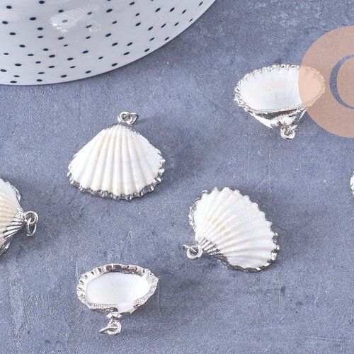Pendentif coquillage naturel coque argenté, x1 (g1260)