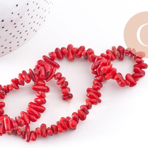 Perles en bambou de mer imitation corail rouge, x1 fil de 38cm (g0850)