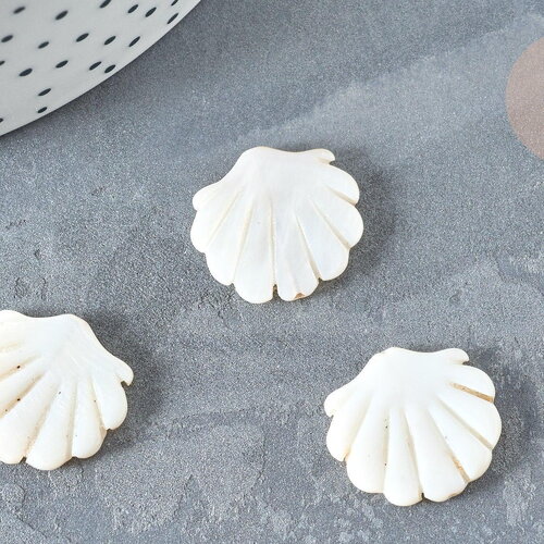 Perle coquillage nacre blanche naturelle 19.5mm, x2 (g7379)
