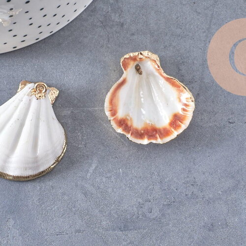 Pendentif coquillage naturel coque doré 32-42mm, x1 (g0096)