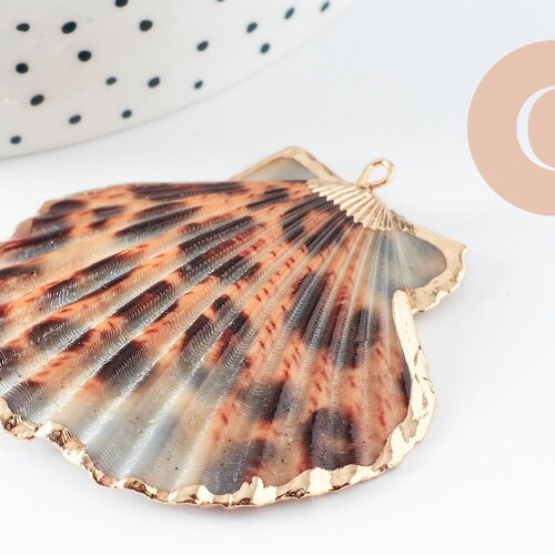 Pendentif coquillage naturel coque doré léopard 41-55mm, pendentif doré pour création bijoux or, x1 g1735