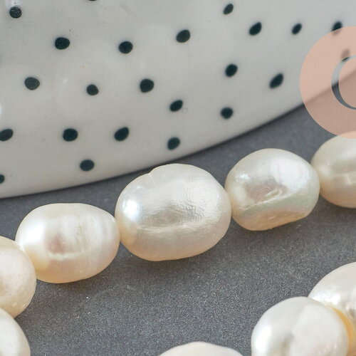 Perle naturelle blanche eau douce, 8-9mm, x1 fil de 33cm (g2433)