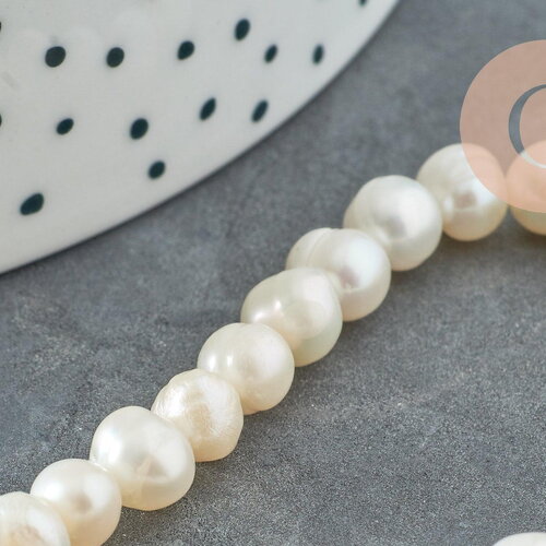 Perle naturelle blanche grade a 6-7mm, x1 fil 36cm (g0549)