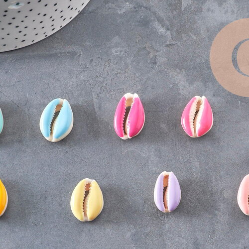 Pendentif coquillage cauri naturel resine colorée 19mm, x5 (g0736)