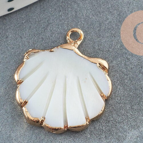 Pendentif coquillage nacre blanche naturelle doré 23mm, x1 (g3055)