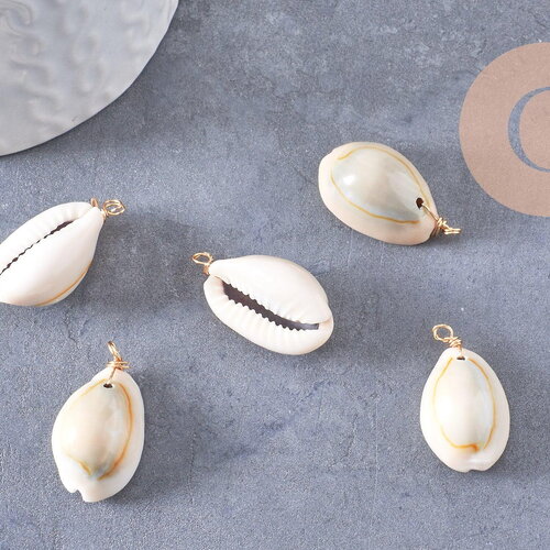 Pendentif coquillages cauri naturel beige fil doré torsadé 18k 24-32mm, x2 (g10319)
