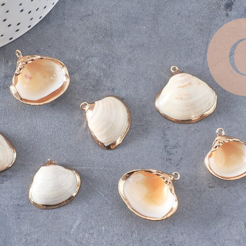 Pendentif coquillage naturel coque doré,pendentif doré, création bijoux, coquillage bijou,coquillage or,22-29mm, x 2-g1815
