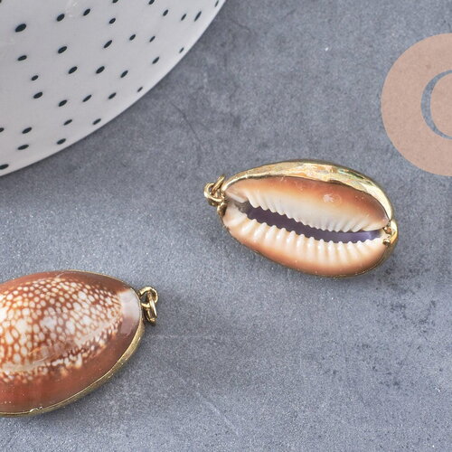 Pendentif coquillage naturel doré, pendentif doré, création bijoux, coquillage conch bijou, coquillage naturel, 28mm (g0878)