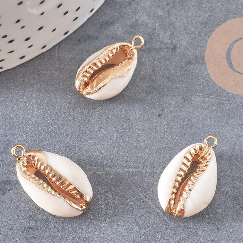 Pendentif cauri ouvert coquillage naturel doré, pendentif doré, création bijou coquillage cauri, coquillage naturel, x1,23-28mm-g2139