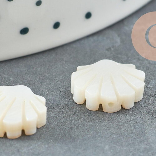 Perles coquillage nacre blanche naturelle 12mm, x2 (g3653)