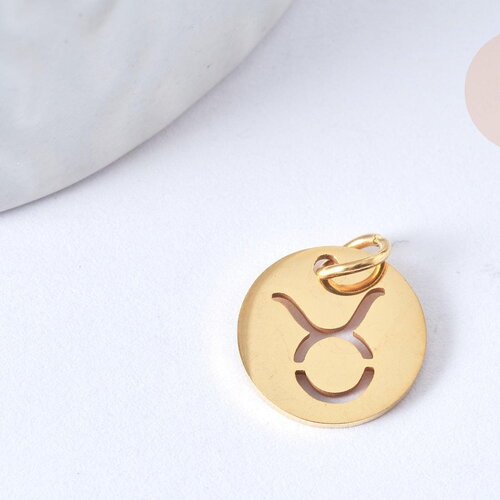 Pendentif rond constellation acier 304 inoxydable doré ip 12x1mm, x1 (g7506)