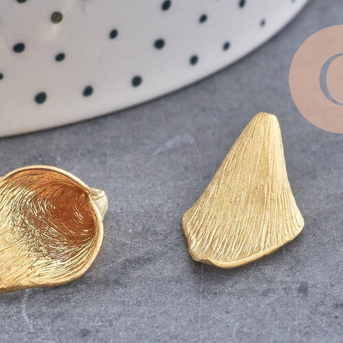 Pendentif feuille laiton brut 25mm, x2 (g3085)