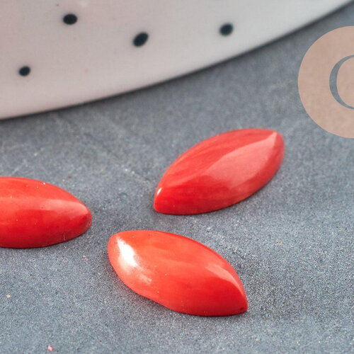 Cabochon marquise corail naturel rouge 10x8mm, 6x12mm, x1 (g3304)