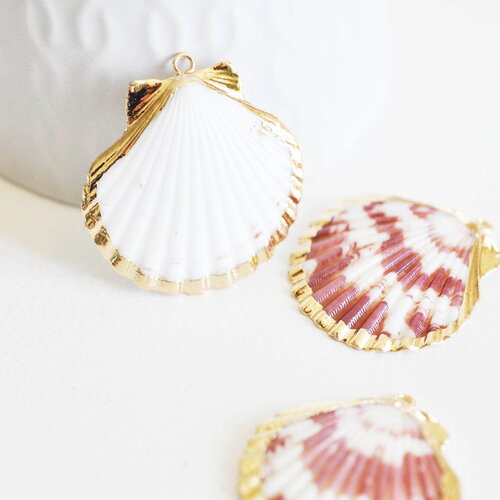 Pendentif coquillage naturel coque doré 33-54mm, x1 (g1795)