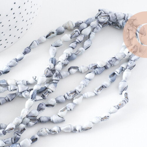 Coquillages percés gris naturels, x1 fil de 130cm (g0801)