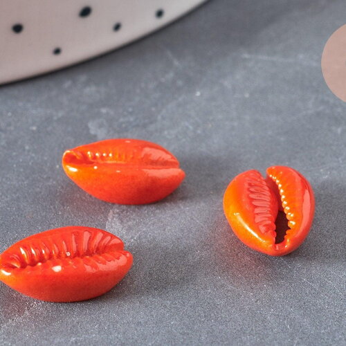 Pendentif coquillage cauri naturel orange 15mm, x5 (g2902)