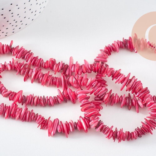 Perles coquillage naturel rose 8-28mm, x1 fil de 75cm (g1029)