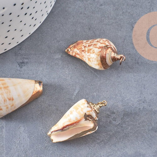 Pendentif coquillage naturel spirale doré, pendentif doré, création bijoux, coquillage bijou,coquillage or, 36-46mm-g6463