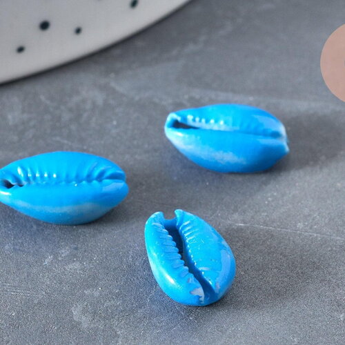Pendentif coquillage cauri naturel bleu 15mm, x5 (g3123)