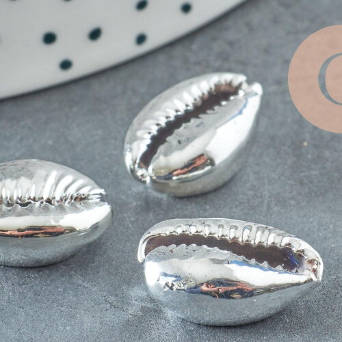 Pendentif coquillage cauris naturel argent 20mm, x5 (g1676)