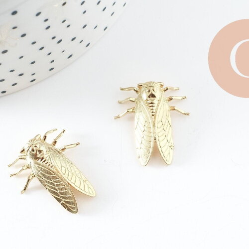 Pendentif cigale laiton brut 28mm, x2 (g1714)