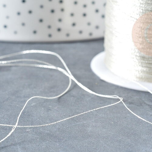 Fil nylon métallisé argent 0.3mm, fabrication bijoux,création broderie,les 5 mètres g8489