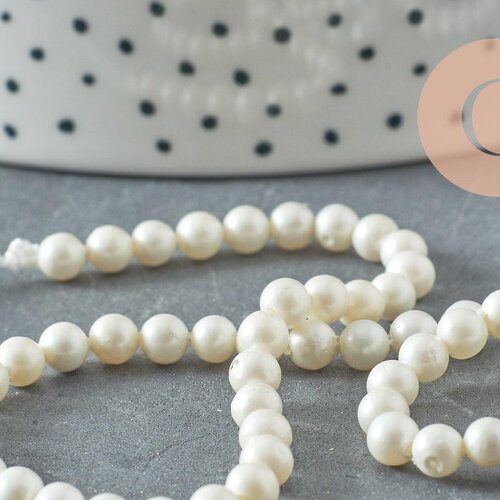 Perles rondes coquillage naturel blanche nacrées 4mm, x1 fil de 40cm (g10132)