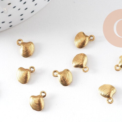 Breloque coquillage laiton, fournitures pour bijoux, breloques laiton brut ,pendentif bijoux,sans nickel, x 10, 8mm,g2559