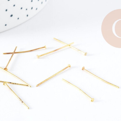 Tiges tête clou fer doré 25mm, x 10 grammes (g8298)