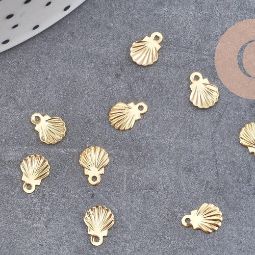 Breloque coquillage acier 304 inoxydable doré 14k 7.5mm, pendentif coquillage sans nickel, x10 (g6014)