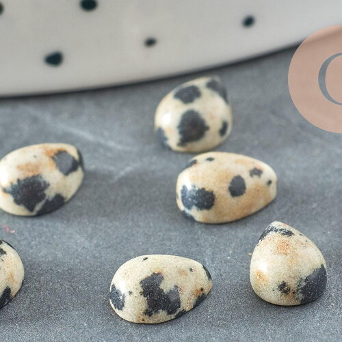 Cabochon goutte jaspe dalmatien naturel 8x6mm, x1 (g1892)