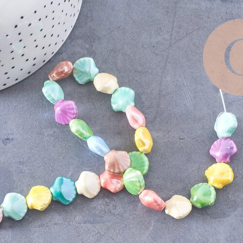 Perles coquillage porcelaine multicolore 13.5mm, x1 fil de 30cm (g10324)